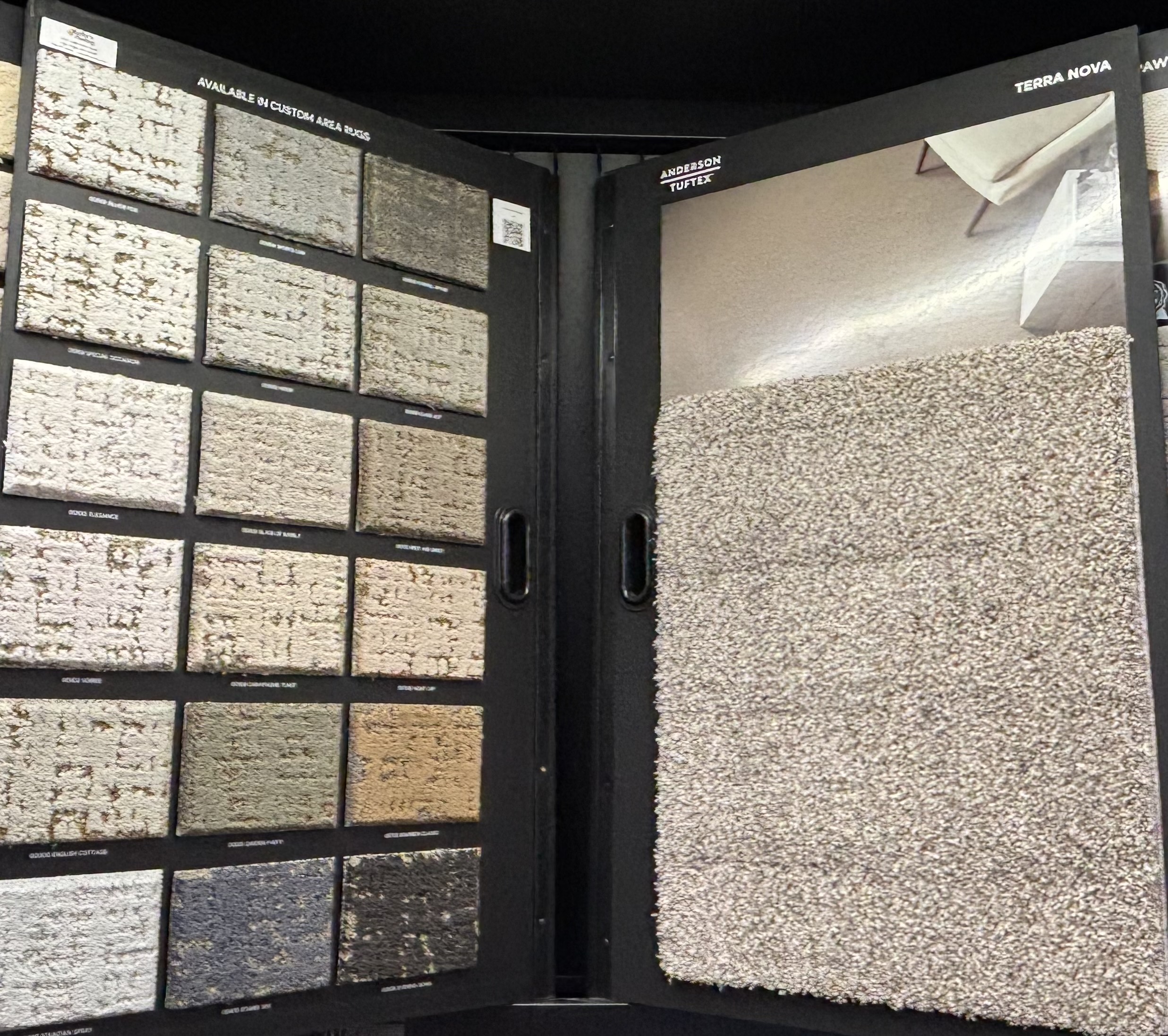 Anderson Tuftex Terra Nova carpet with custom area rug option