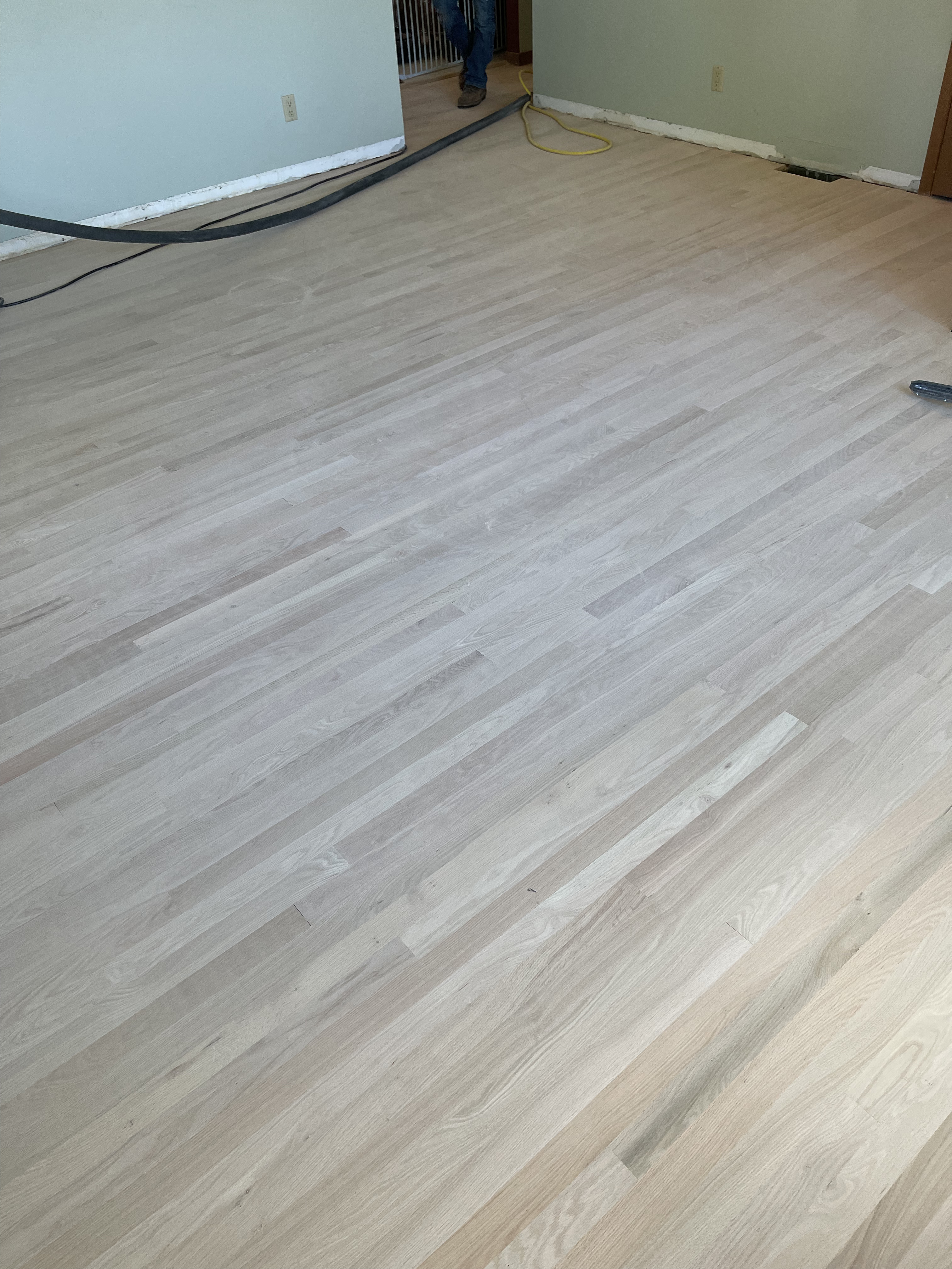 Newly installed and sanded hardwood floor ready for finishing