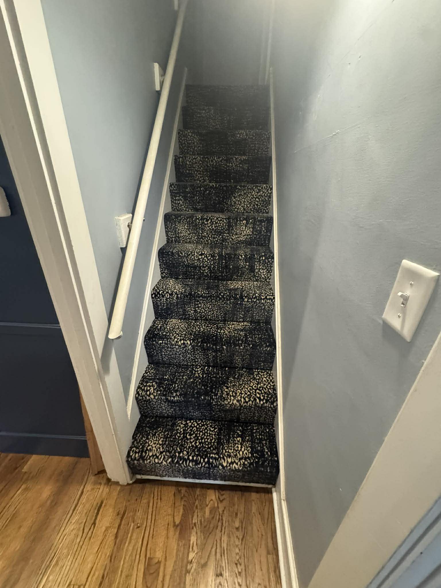 Bold animal print carpet on narrow staircase